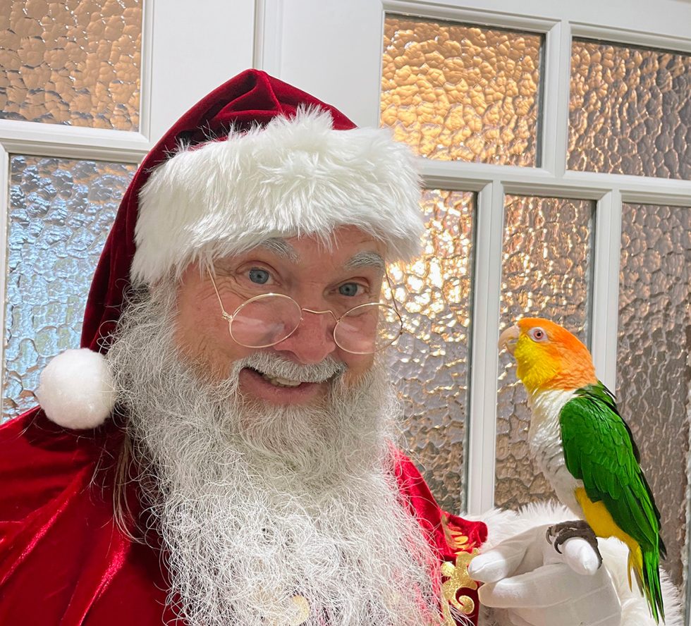 Santa Claus with bird
